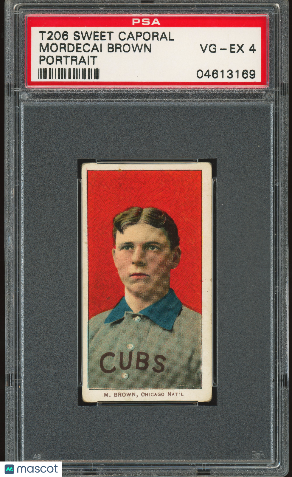 1909-11 T206 Sweet Caporal 150/30 Mordecai Brown Portrait PSA 4 VG-EX Nice Color