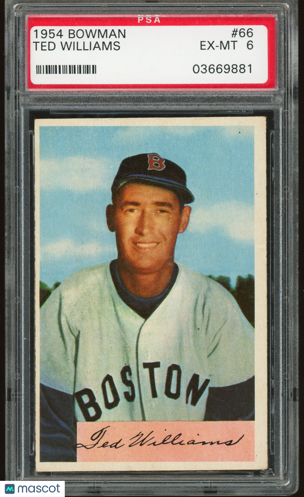 1954 Bowman #66 Ted Williams PSA 6 EX-MT