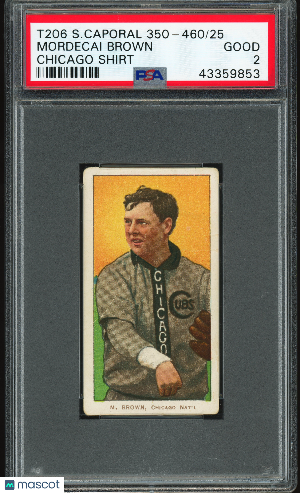 1909-11 T206 Sweet Caporal 350-460/25 Mordecai Brown Chicago PSA 2 Nice Color