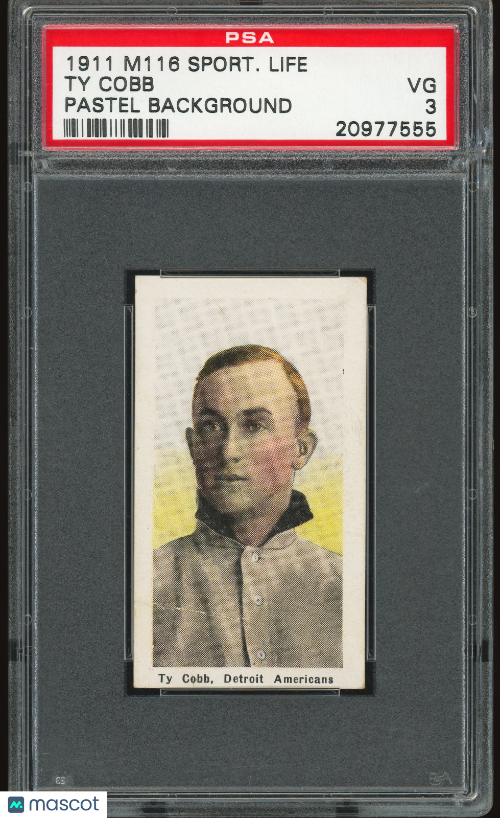 1911 M116 Sporting Life Ty Cobb Pastel PSA 3 VG FAN-A TOP 30% EYE APPEAL