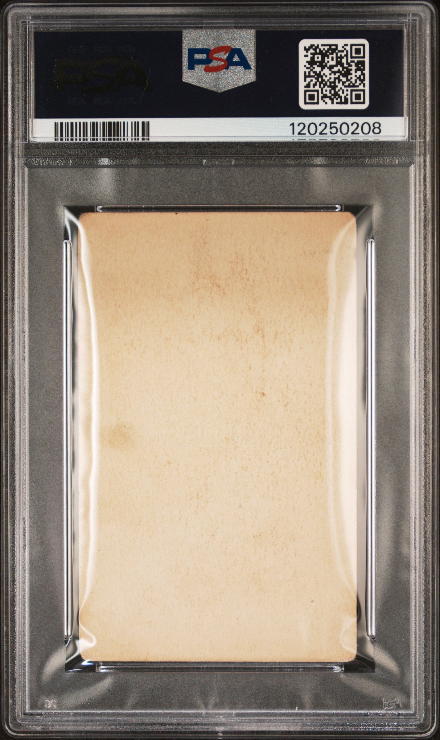 1923 Willard Chocolate Walter Johnson PSA 2 GD ONLY 8 PSA GRADED EXAMPLES