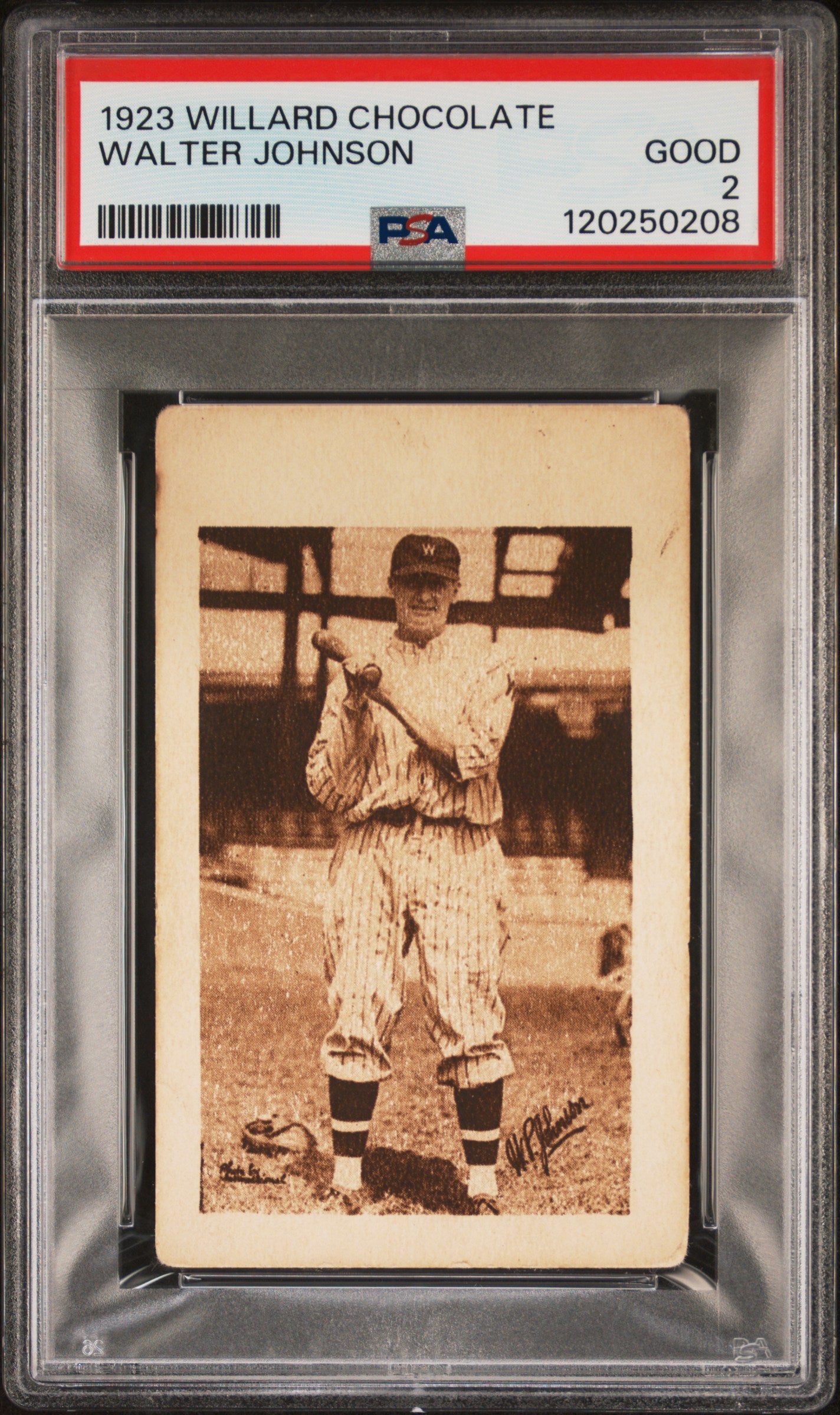 1923 Willard Chocolate Walter Johnson PSA 2 GD ONLY 8 PSA GRADED EXAMPLES