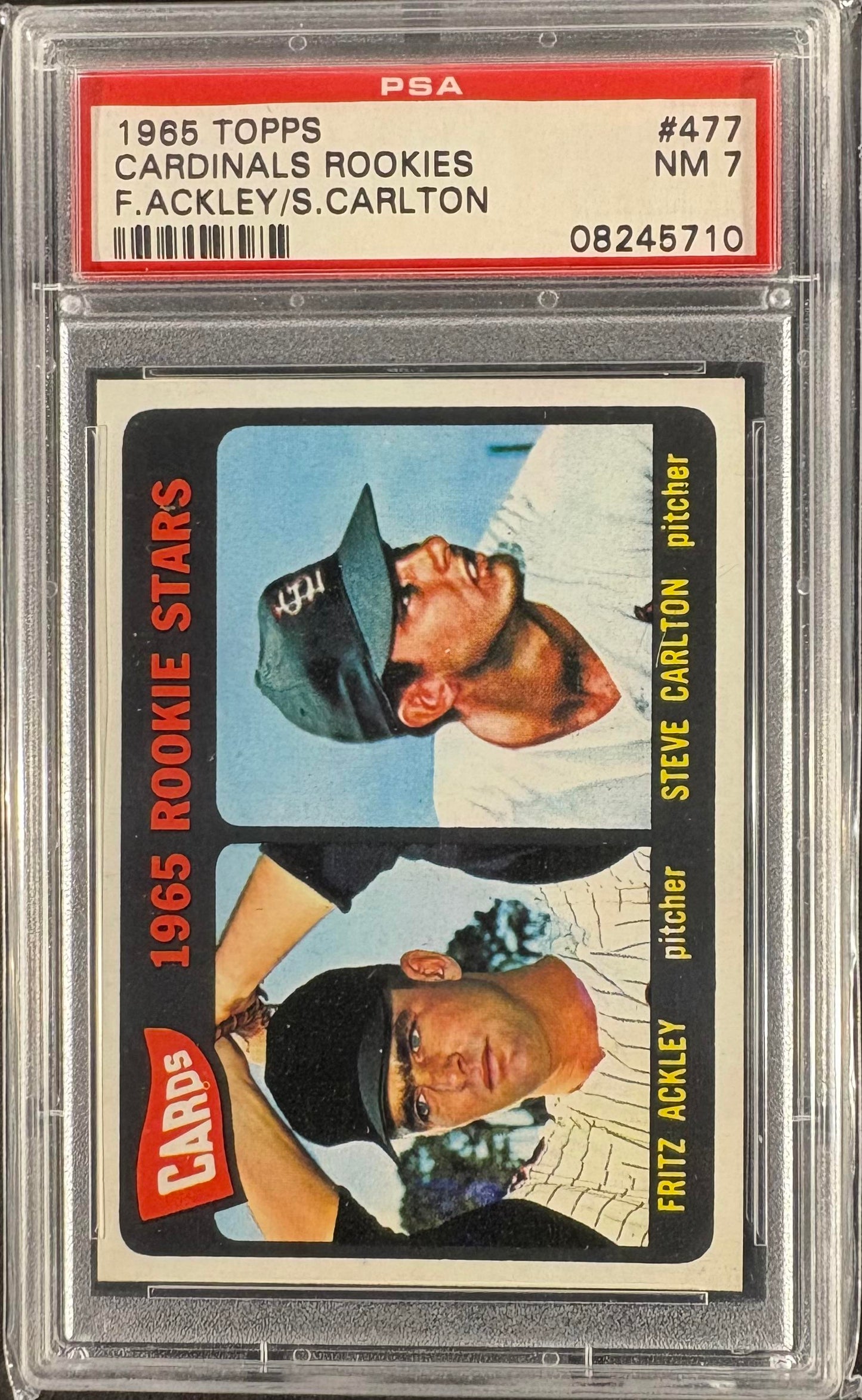 1965 Topps #477 Steve Carlton RC Rookie PSA 7 NM Near Mint