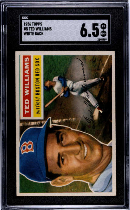 1956 Topps #5 Ted Williams White Back SGC 6.5 EX-NM Nice Eye Appeal
