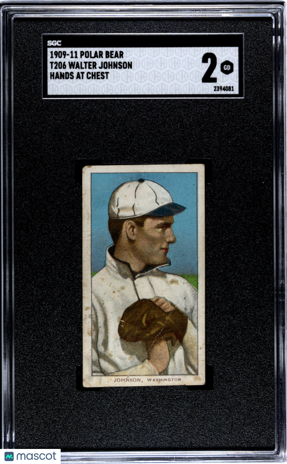 1910 T206 POLAR BEAR Walter Johnson Hands At Chest SGC 2 GD Nice Eye Appeal